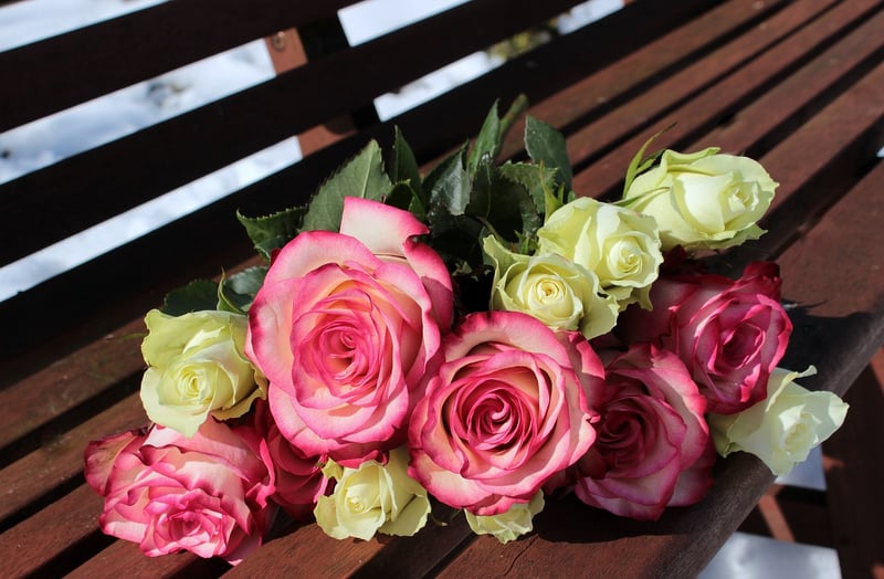 Floral Blooms